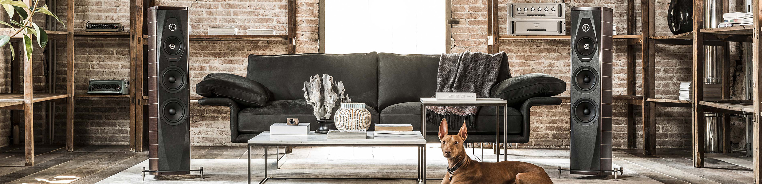 OLYMPICA SE 歌剧院特别版